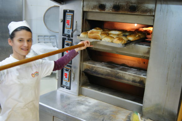 COOPERAZIONE: a Catania Confcooperative rinnova il direttivo