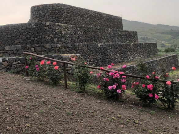 VINI: la giuria 5StarWines del Vinitaly premia Al-Cantàra con sette etichette dell’Etna nella Guida 2021