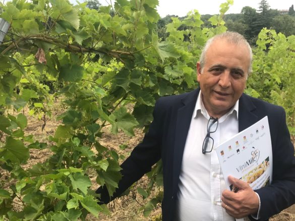 VINI: mercoledì 26 agosto si presenta la ViniMilo2020