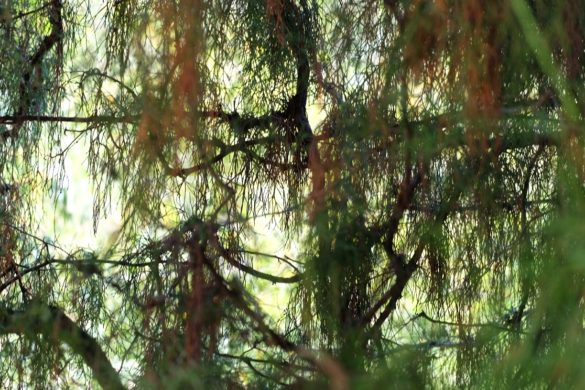 FOTOGRAFIA: “D’Estate”,  sei autori alla FAM Gallery di Agrigento tra memorie e visioni