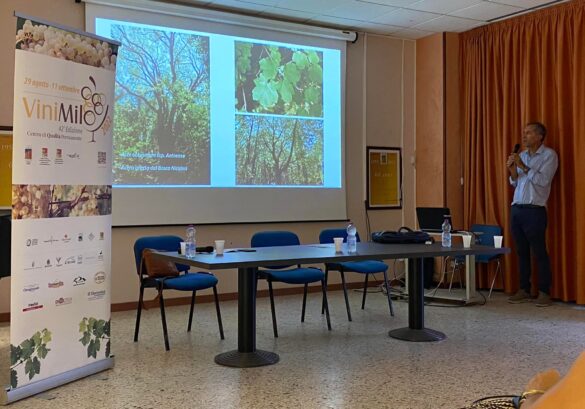 VINIMILO: da tre a diciannove i produttori a Milo, gioiello dell’Etna